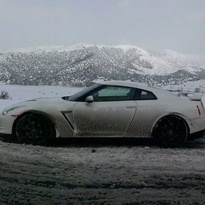 Meet your Posher, Peter